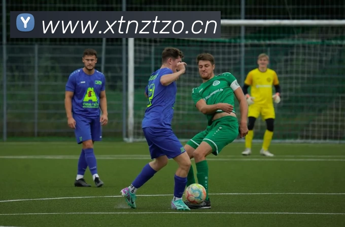 辅助工具 辅助工具